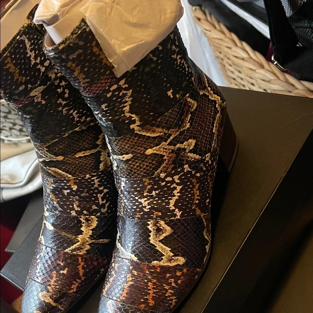 Coach Snake-Print Ankle Boots with Buckle - Black/Brown/Cream - Picture 5 of 8